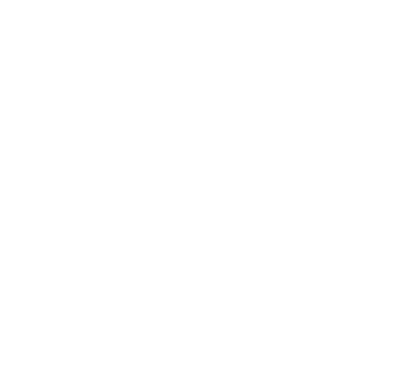 lycee-professionnel-olivier-guichard-a-guerande-logo-blanc