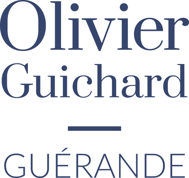 lycee-professionnel-olivier-guichard-a-guerande-logo-bleu