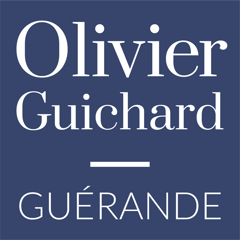 lycee-professionnel-olivier-guichard-guerande-logo-carre