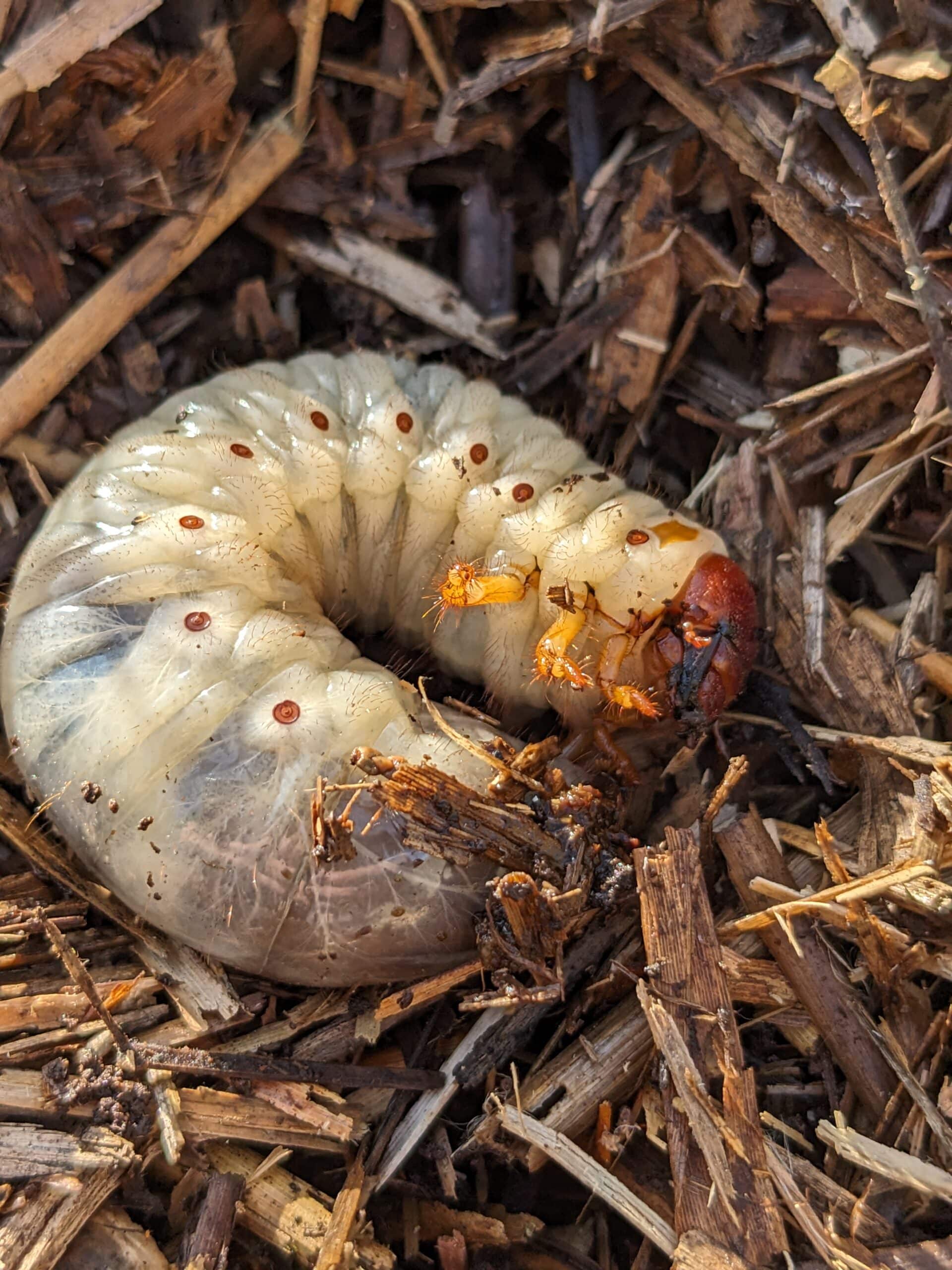 PXL_20231004_134905484