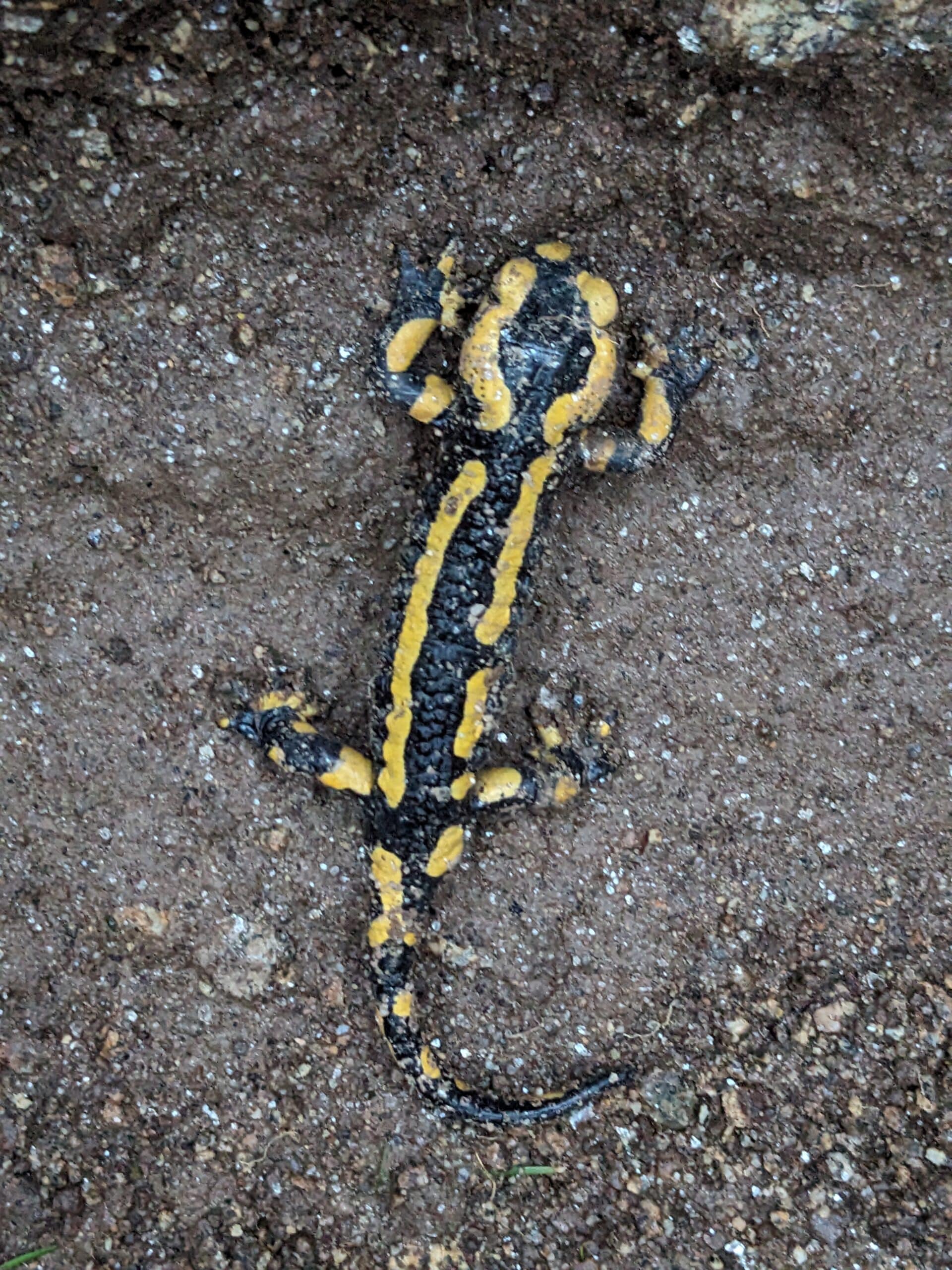 PXL_20231213_074243021